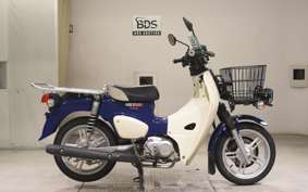 HONDA C110 SUPER CUB 2021 JA61
