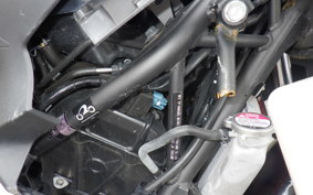 KAWASAKI NINJA 400 2022 EX400G