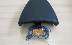 BMW R NINE T PURE 2021 0L61