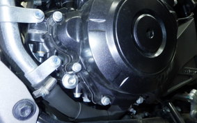 SUZUKI Vｽﾄﾛｰﾑ250A 2021