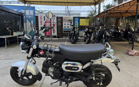 HONDA  DUX 125 JB06