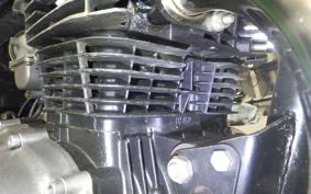 KAWASAKI Z250 FT