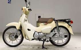 HONDA C110 SUPER CUB