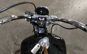 HARLEY FXST1750 2020 BVJ