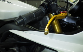 TRIUMPH DAYTONA 675 R 2015