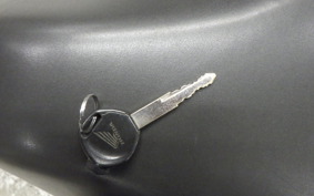 HONDA ﾀﾞﾝｸ 2019 AF74