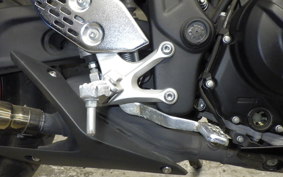 YAMAHA MT-25 RG10J