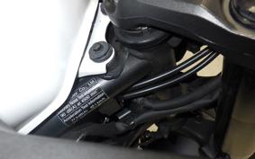 HONDA NX400 2024 NC65