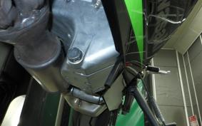 KAWASAKI NINJA ZX-6R A 2025 ZX636J