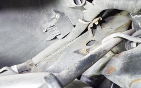 HONDA LEAD 110 2010 JF19