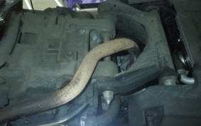 HONDA FORZA 250 2025 MF13