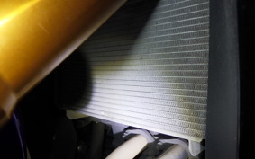 YAMAHA YZF-R25 A 2017 RG43J