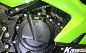KAWASAKI NINJA 250 2009 EX250P