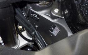 KAWASAKI NINJA1100SX 2025