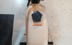 HONDA APE 100 2002 HC07