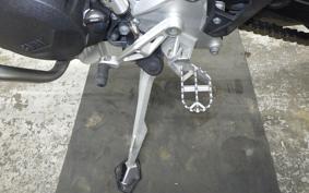 BMW F900GS 2024