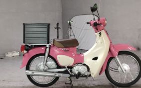 HONDA SUPER CUB50 AA09
