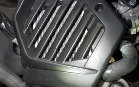 HONDA TACT Basket AF79