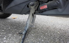 HONDA FAZE MF11
