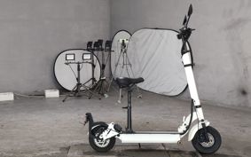 OTHER BLAZE EV SCOOTER ..