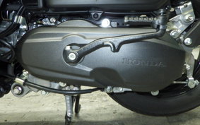 HONDA TACT Basket 2015 AF79
