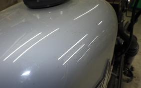 OTHER +UNREGISTERED MODEL by BDS250 2015