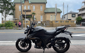 SUZUKI JIKUSA-250 ED22B