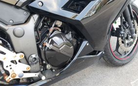 KAWASAKI NINJA 250 EX250L