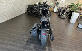 HARLEY FXBB 2019 YJJ
