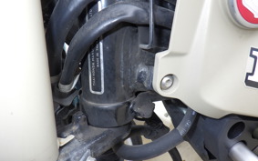 HONDA CT125 HUNTER CUB JA55