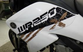 YAMAHA WR250X 2005 DG15J