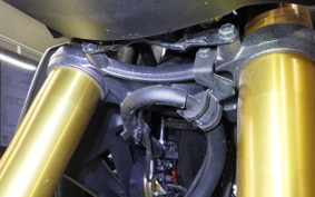 HONDA HORNET 2.0 2021