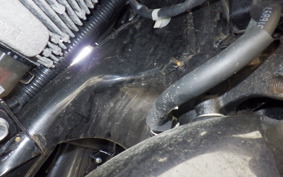 HONDA LEAD 125 JF45