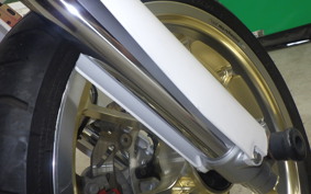 YAMAHA WR250X 2021 DG15J