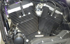 HARLEY XL883N 2010