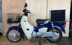 HONDA SUPER CUB50 AA07