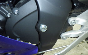 YAMAHA YZF-R15 1999 RG86J