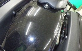 HARLEY FLSB 1750 2022
