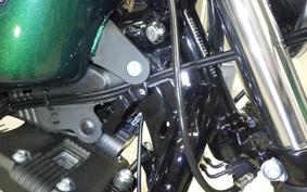 HARLEY XL883N 2021