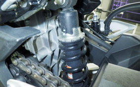 KAWASAKI NINJA 250 2022 EX250Y