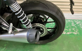 TRIUMPH SPEED TWIN 2024 DAD85H