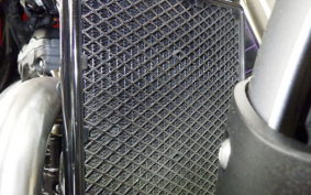 TRIUMPH SCRAMBLER400X 2024