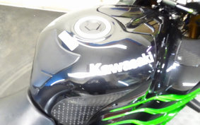KAWASAKI NINJA ZX-14R 2013 ZXT40E