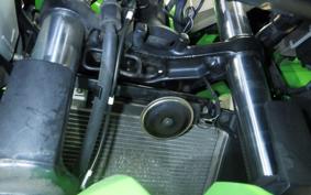 KAWASAKI NINJA 250 ABS EX250L