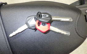 YAMAHA XSR900 2024 RN80J