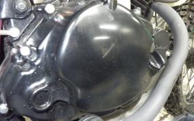 KAWASAKI W175 TR 2020