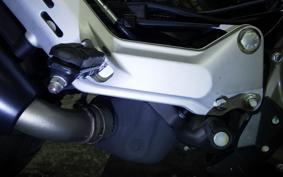HUSQVARNA SVARTPILEN 401 2021