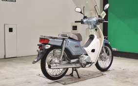 HONDA C110 SUPER CUB 2013 JA10