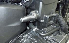 HONDA REBEL 1100 DCT 2022 SC83