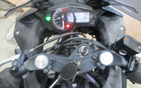 YAMAHA YZF-R25 RG43J
